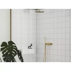   Espirit falba süllyesztett csaptelep szettel, kétutas, belső egység nélkül ES 065.60GLB.O2.RB07D.+S, Gold Brushed